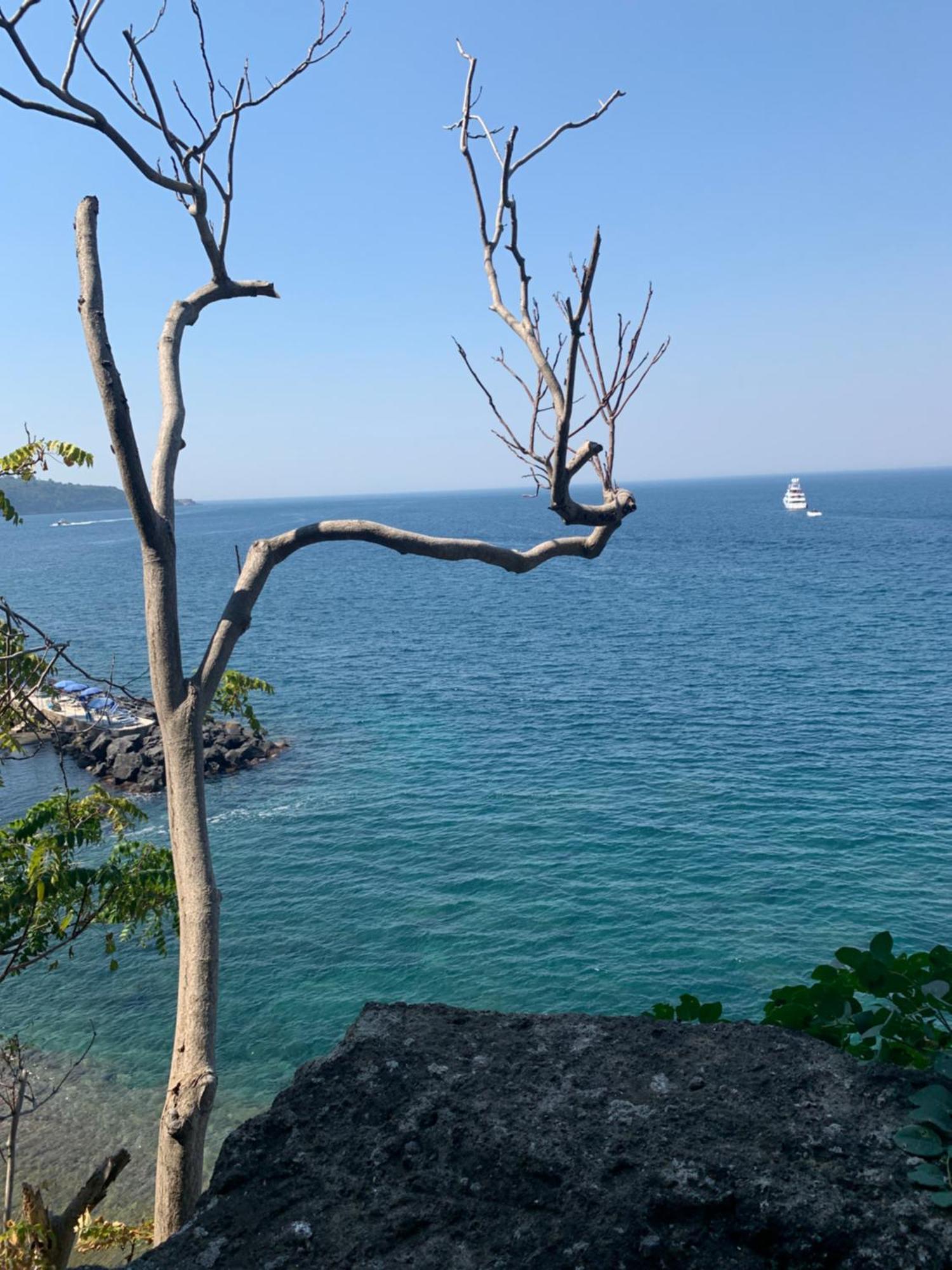 Villa Cettina Boutique Hotel Sorrento Ngoại thất bức ảnh